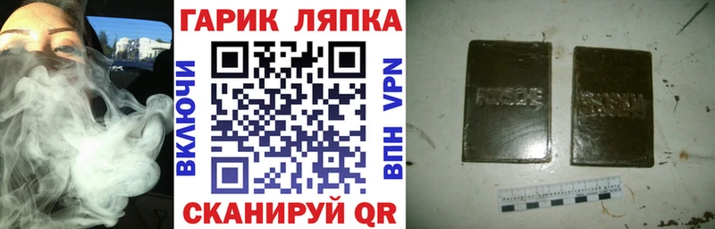 наркота  Новая Ладога  Гашиш индика сатива 