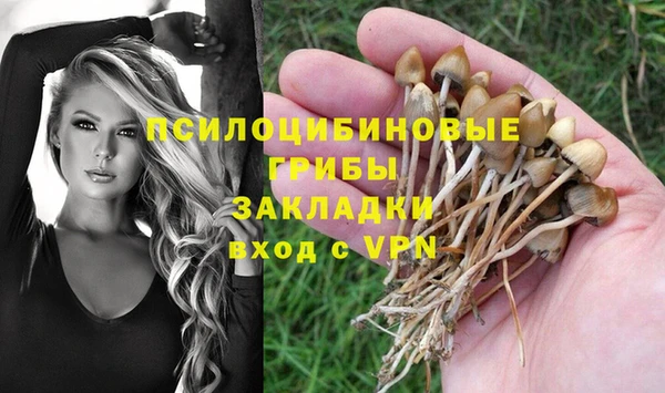 мескалин Армянск