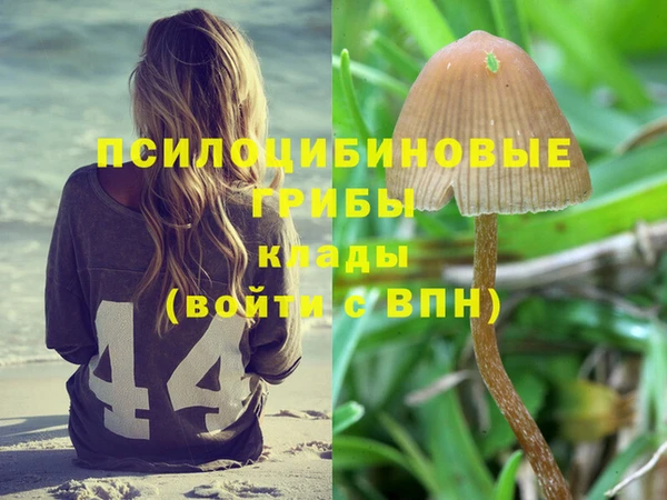 MESCALINE Аркадак