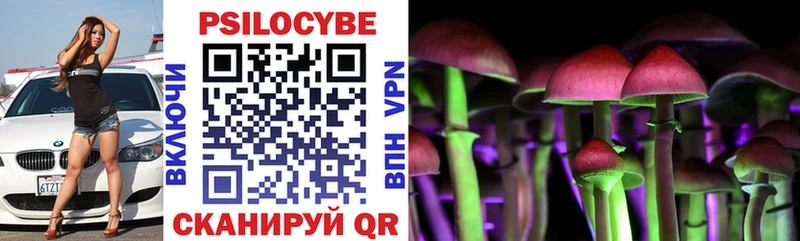 Псилоцибиновые грибы Psilocybine cubensis  закладки  маркетплейс как зайти  Новая Ладога 