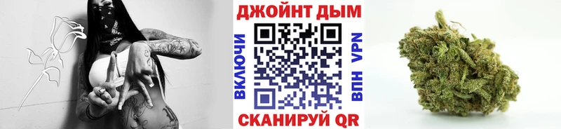 продажа наркотиков  Новая Ладога  Марихуана VHQ 